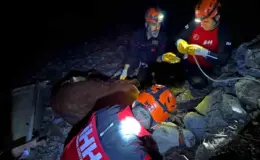 Alanya’da düşen dana 400 metrelik uçurumdan kurtarıldı